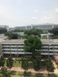 Blk 546 Bedok North Street 3 (Bedok), HDB 3 Rooms #180728152